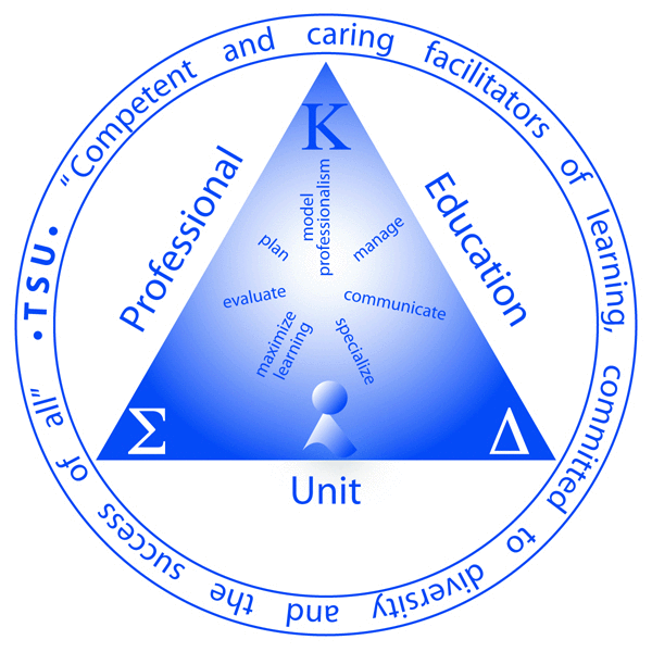 TSU Conceptual Framework